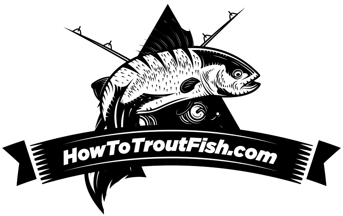 How to Catch Trout in a Lake The BEST Techniques For Beginners