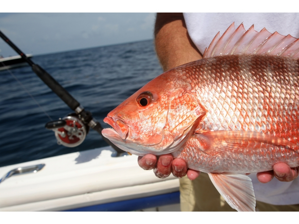 NonResident Fishing License in Florida