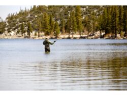 License for Fishing in Nevada