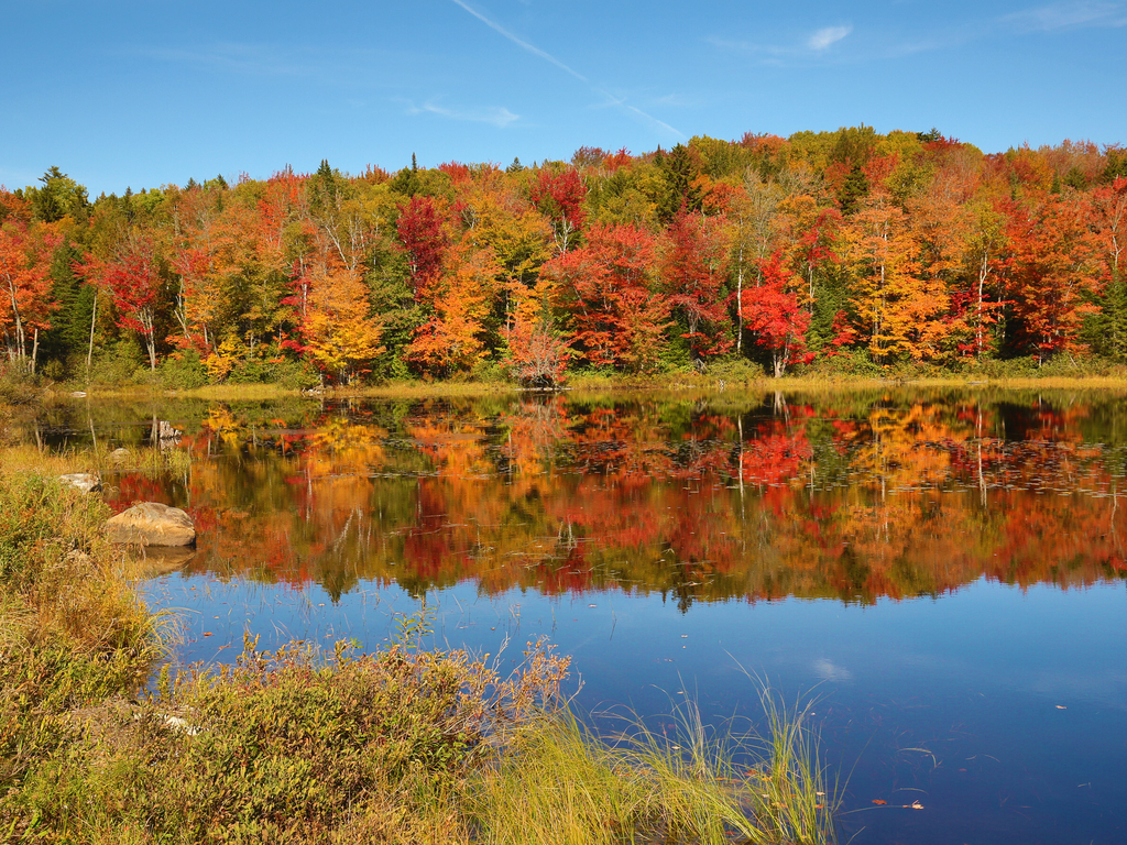 Trout Fishing New Hampshire