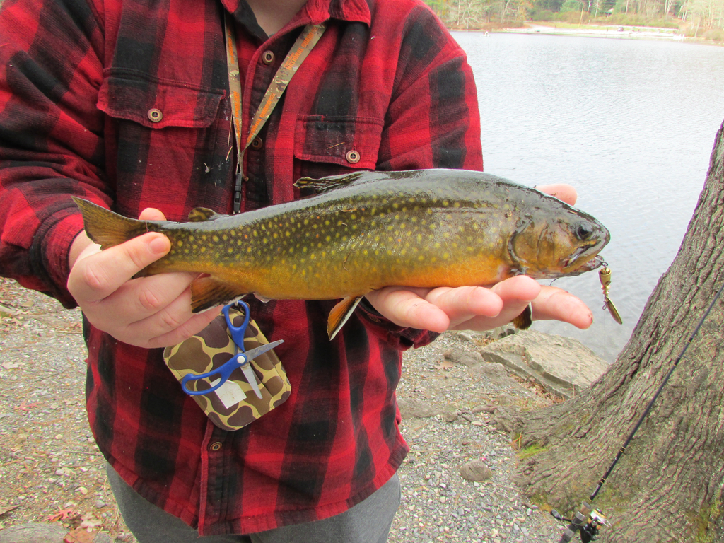 Trout Fishing Season in Pennsylvania