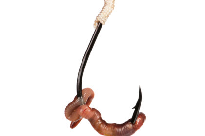 Trout Fishing Tackle