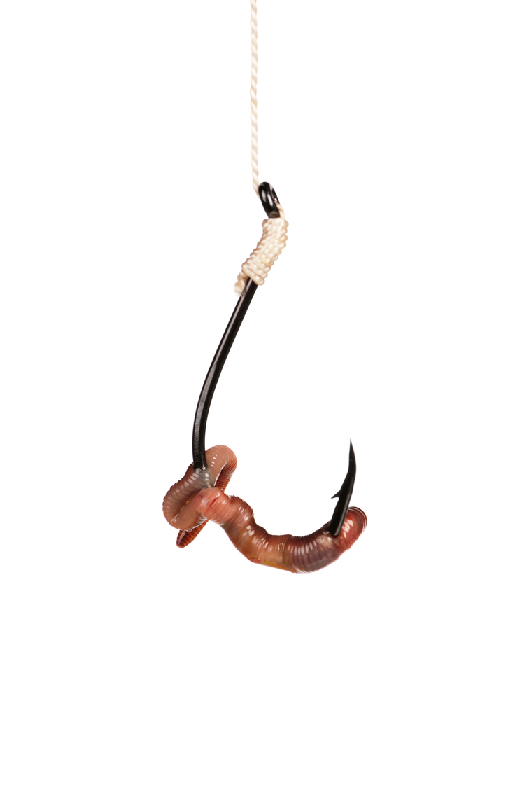 Trout Fishing Tackle