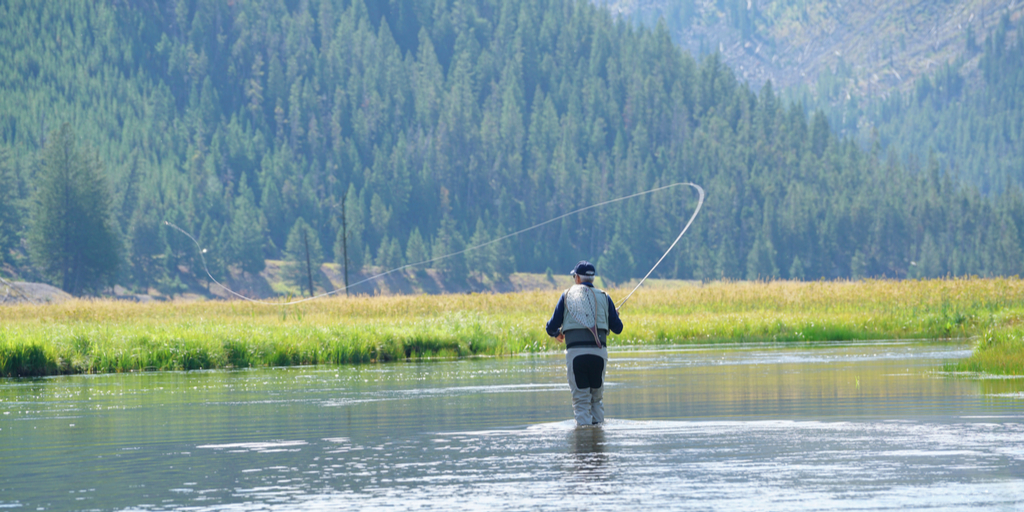 Fishing License Yellowstone