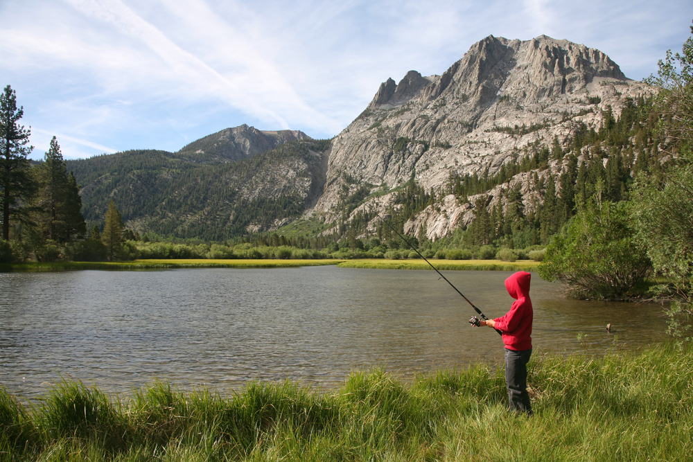 Get a Fishing License in California