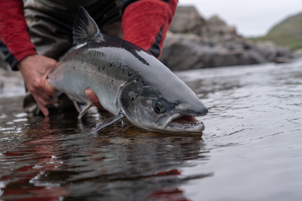 Sport Fishing in British Columbia