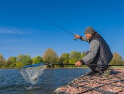 Get a Fishing License in California