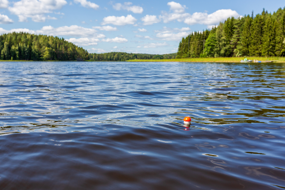 How to lake fish for trout