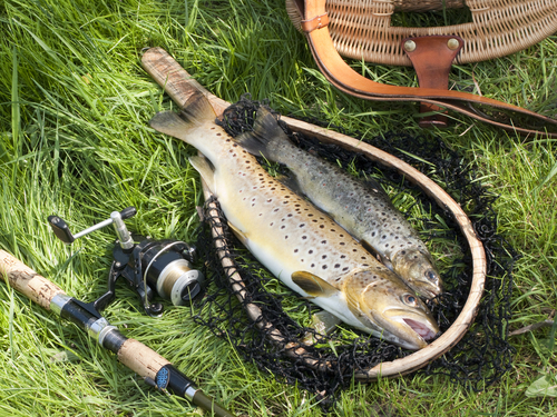 TIPS ON TROUT FISHING