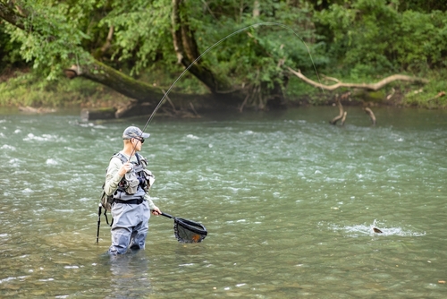 TIPS ON TROUT FISHING