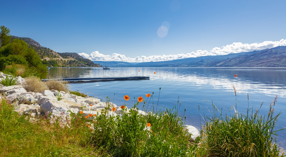 BC rainbow trout limit