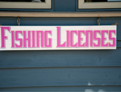 fishing license questions