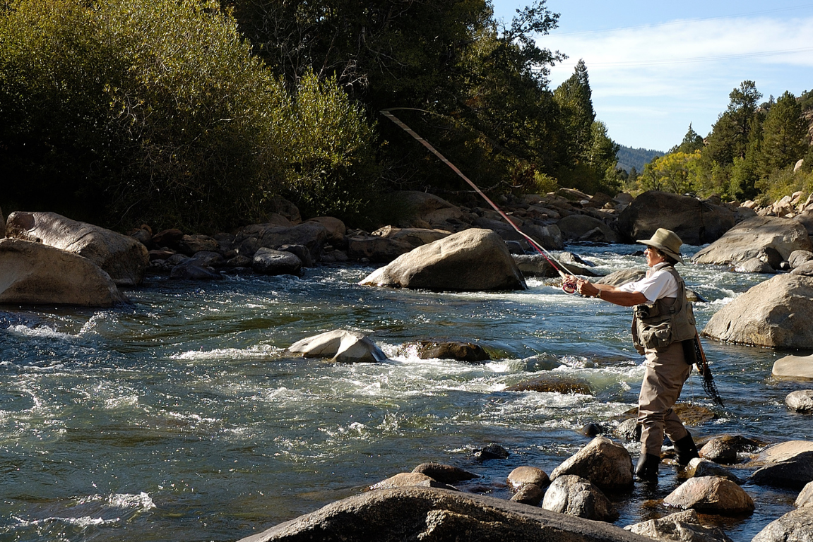 fishing license for Colorado