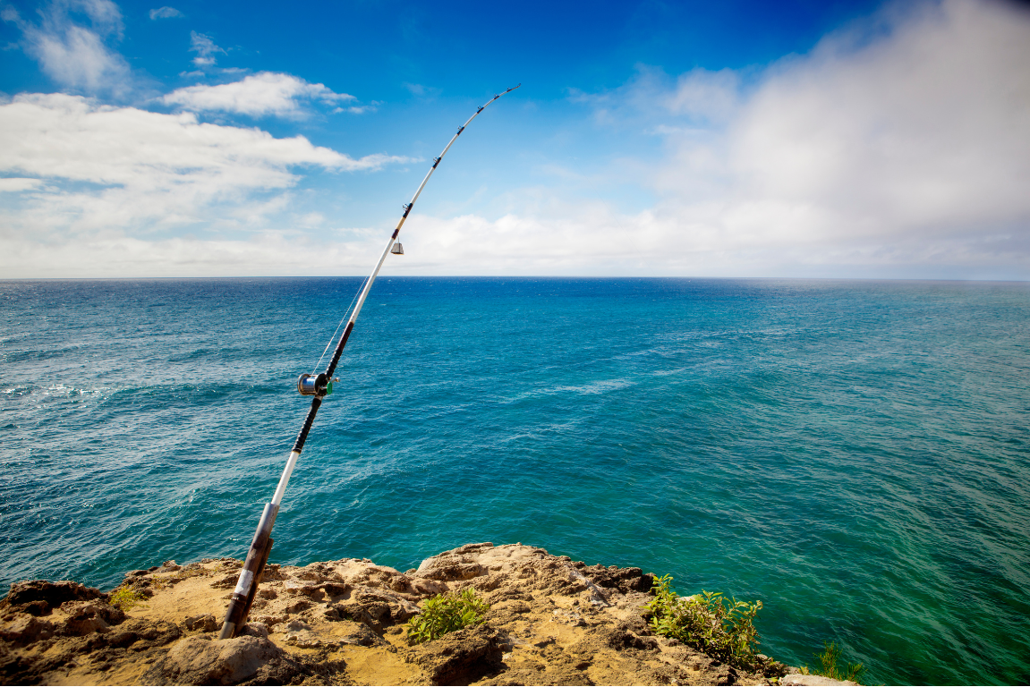 fishing license for hawaii
