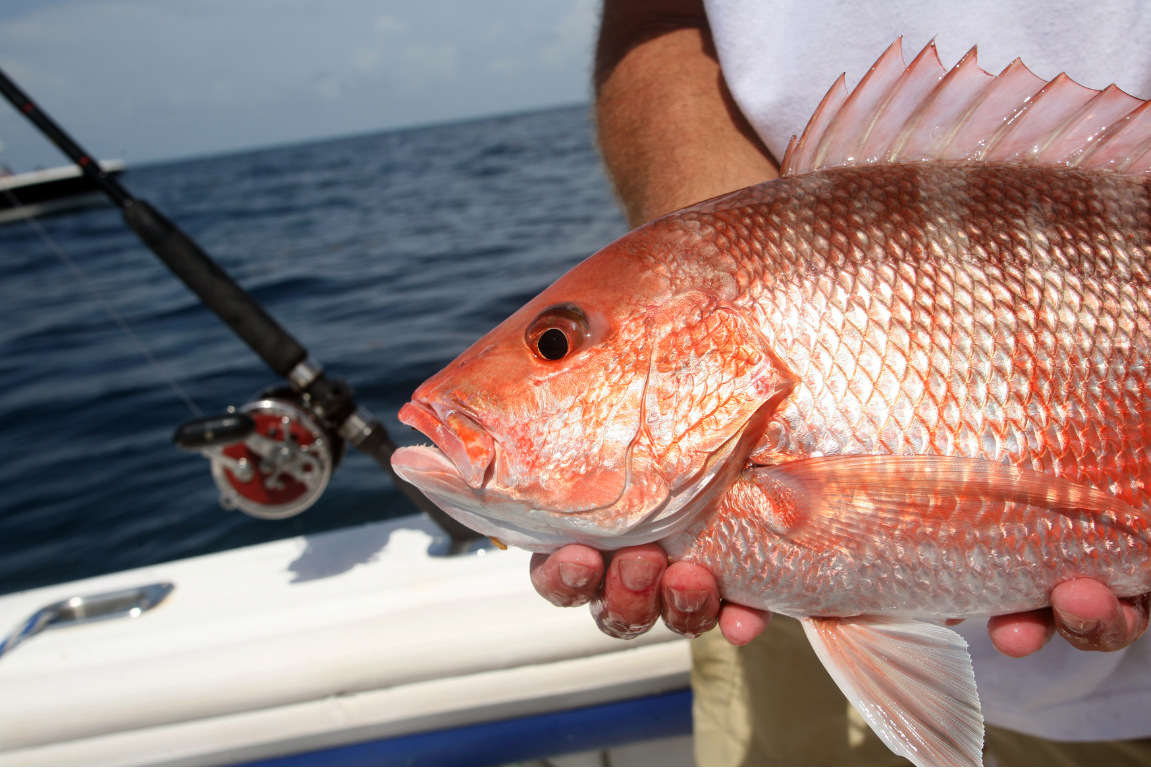 Florida Non-resident Fishing License